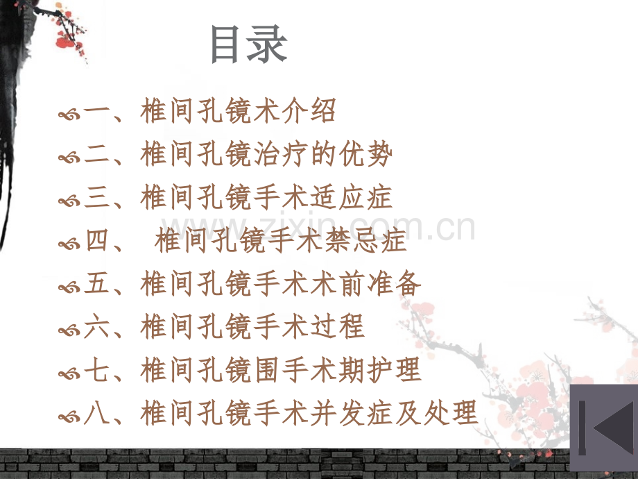 椎间孔镜的治疗及护理.ppt_第2页