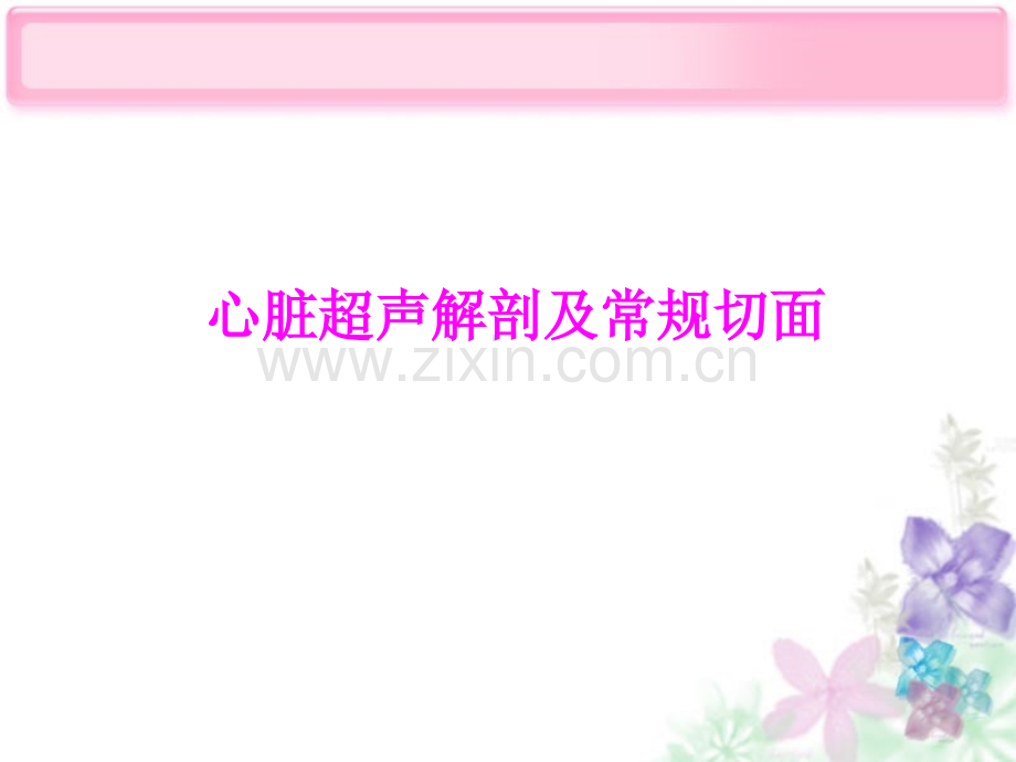 心脏超声解剖示教.ppt_第1页