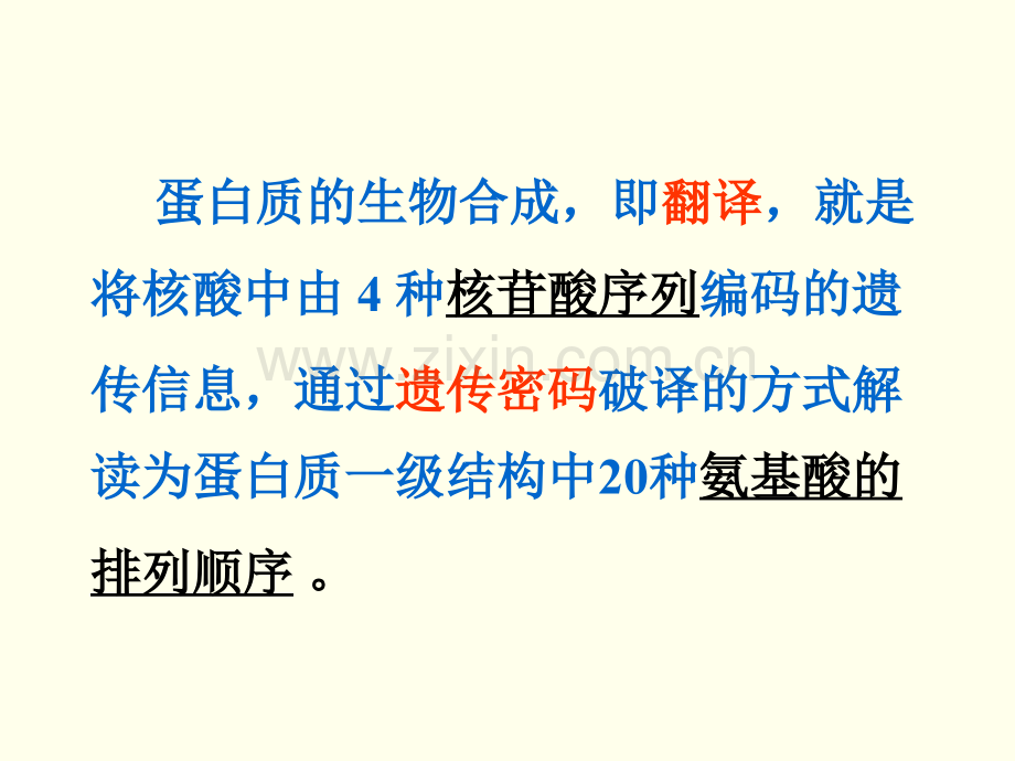 生化14--蛋白质的生物合成(翻译).ppt_第2页