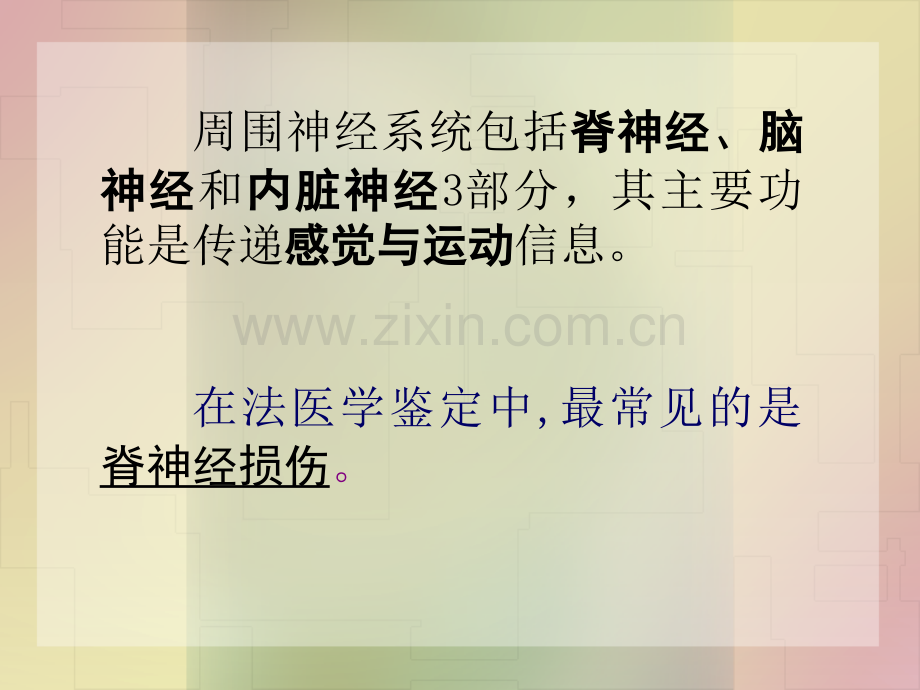 法医临床(二)外周神经.ppt_第2页