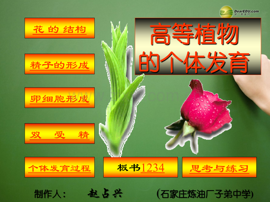 湖南省师大附中高中生物植物的个体发育新人教版必修.ppt_第1页