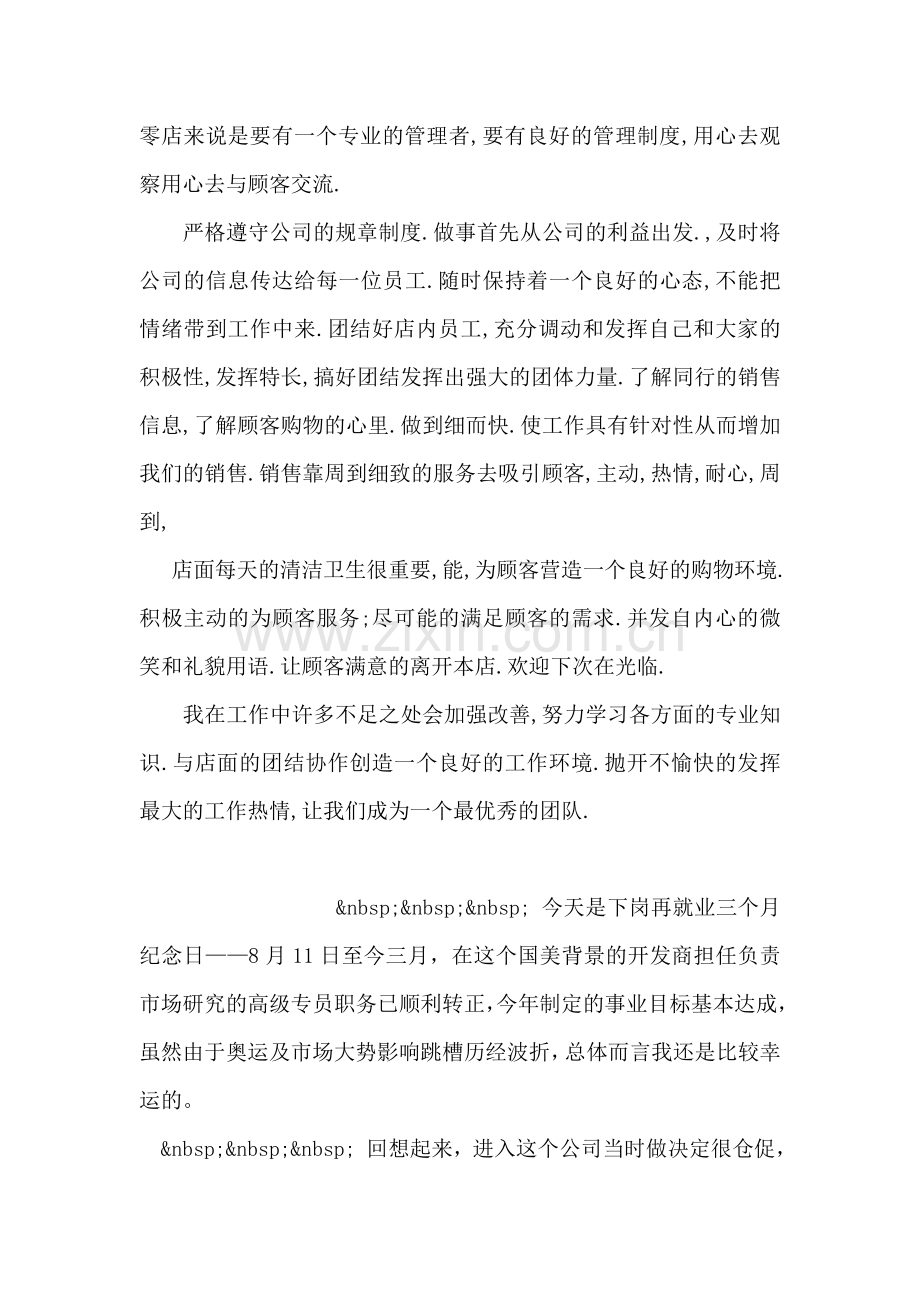 销售员个人工作总结.doc_第2页