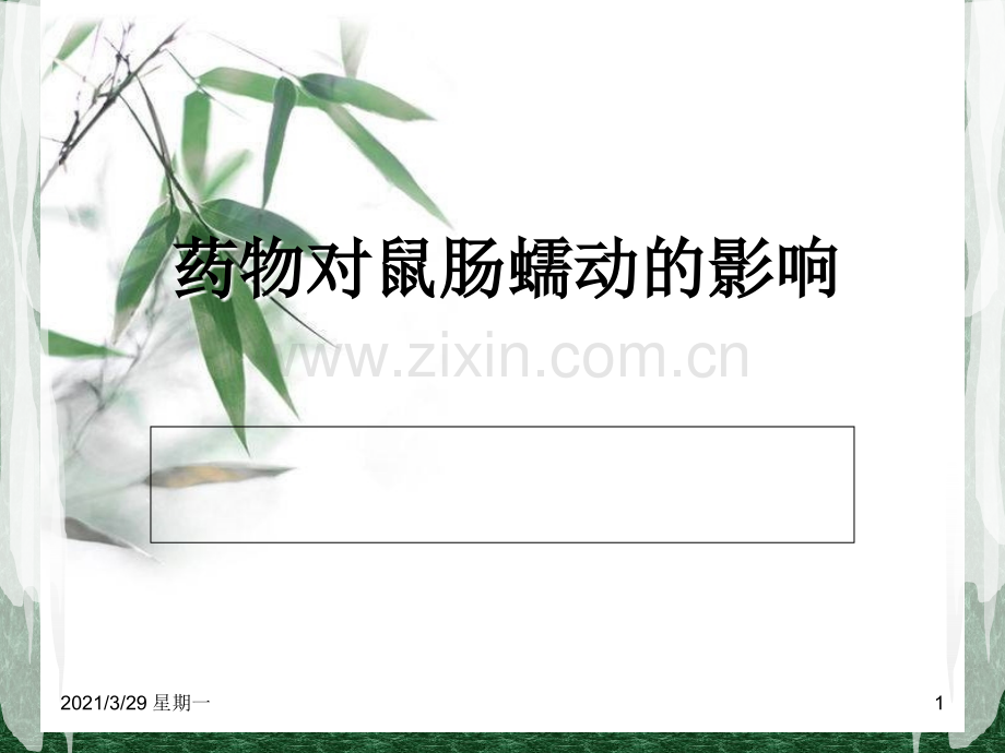 药物对鼠肠蠕动的影响.ppt_第1页