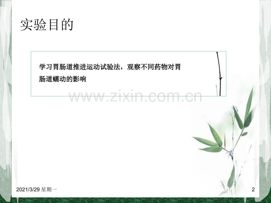 药物对鼠肠蠕动的影响.ppt_第2页