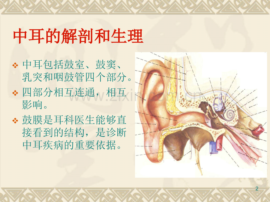 分泌性中耳炎急慢性中耳炎-南昌大学第二附属医院.ppt_第2页