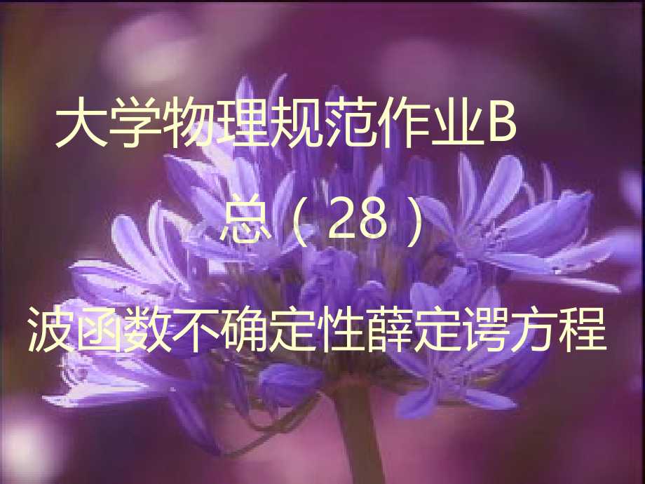 大学物理规范作业B(下)28波函数不确定关系解答.ppt_第1页