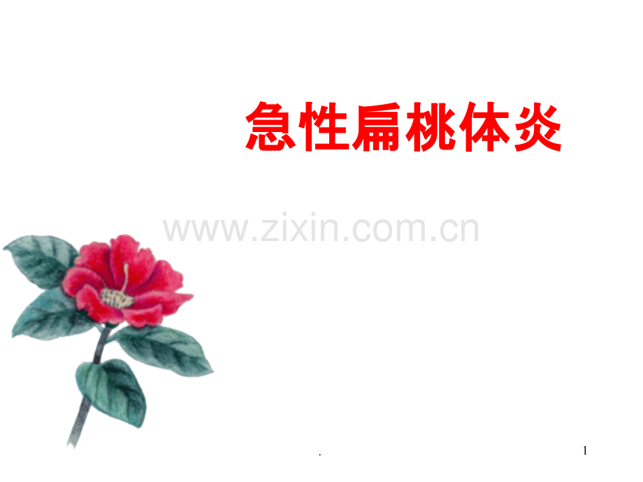 急慢性扁桃体炎及鼻咽癌.ppt_第1页