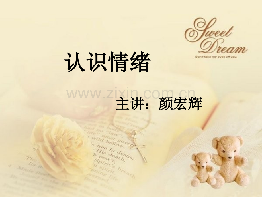 认识情绪.ppt_第2页