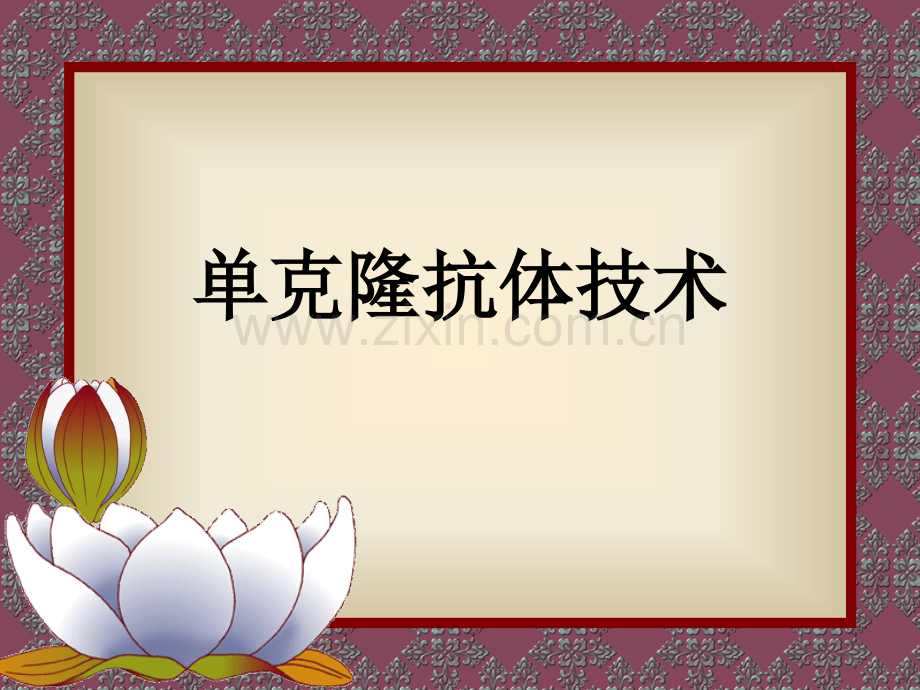 单克隆抗体技术.ppt_第1页