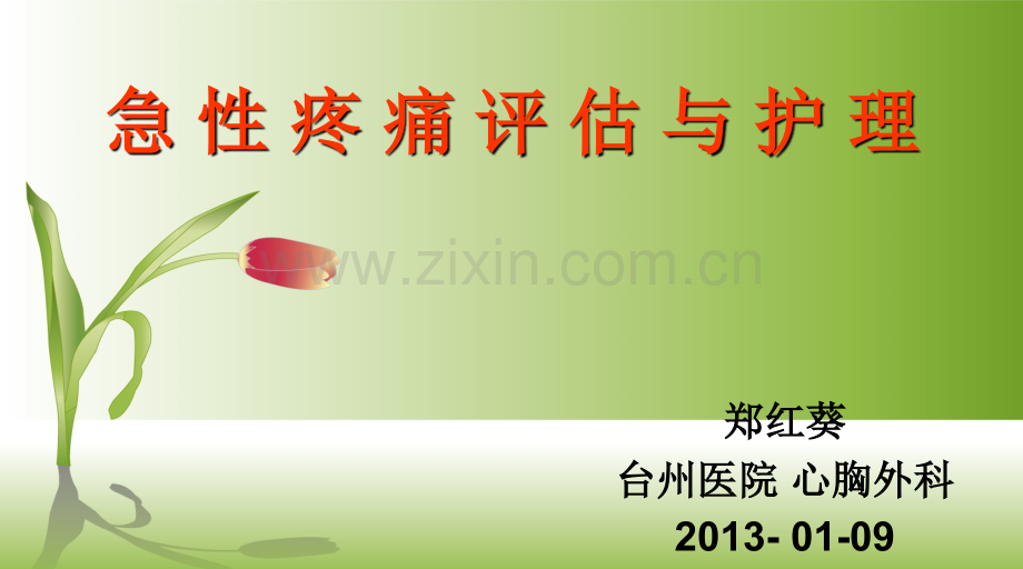 急性疼痛评估与护理.ppt_第1页