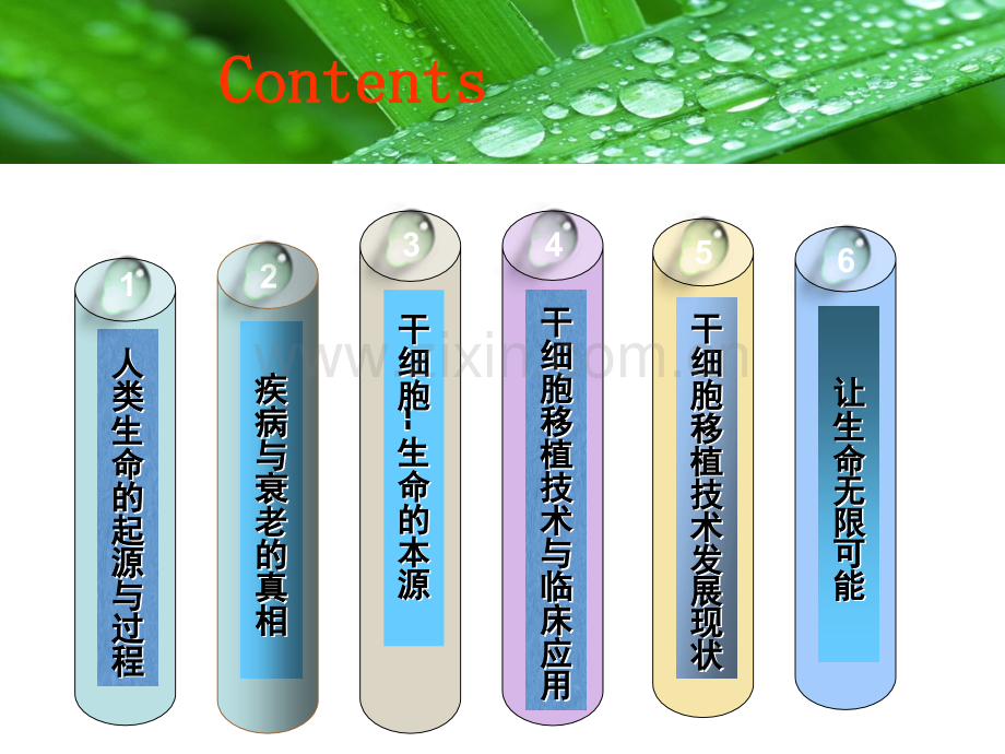 让生命无限可能——干细胞移植技术科普知识与科学应用.ppt_第2页