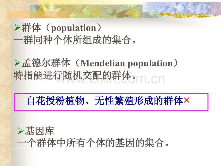 群体遗传与进化.ppt_第1页