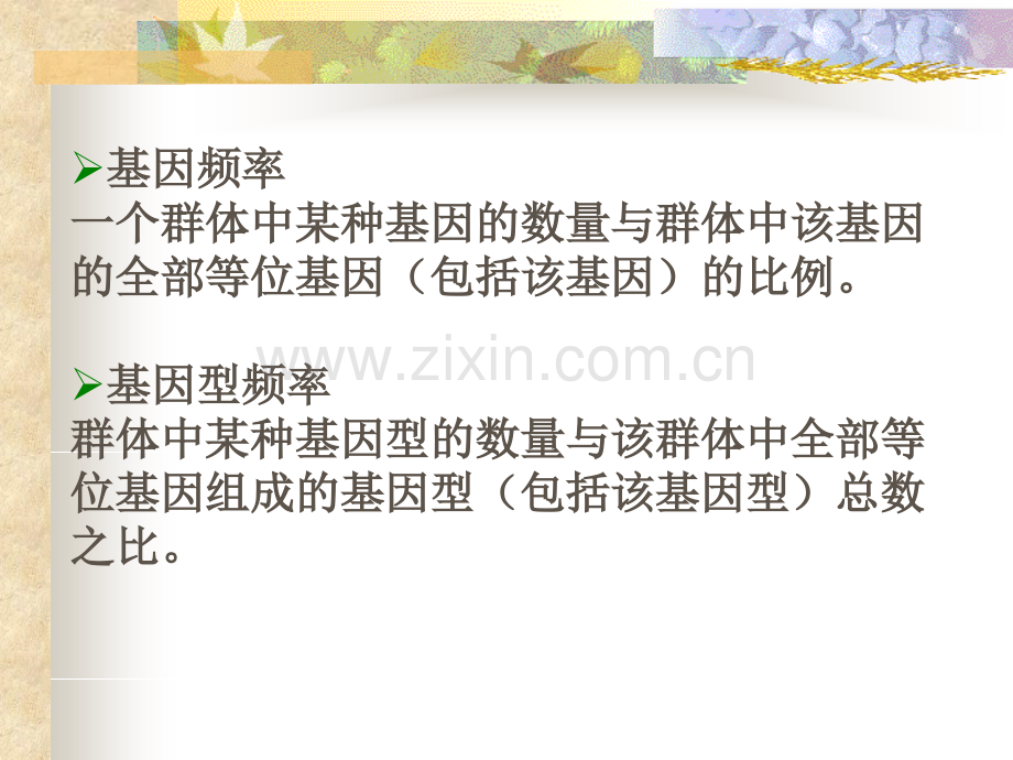 群体遗传与进化.ppt_第2页
