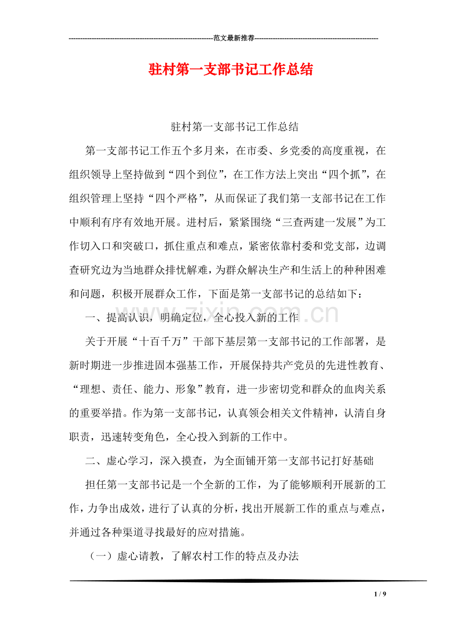 驻村第一支部书记工作总结.doc_第1页
