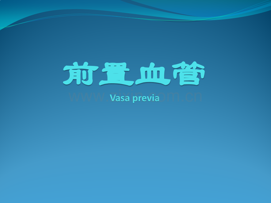 前置血管.pptx_第1页
