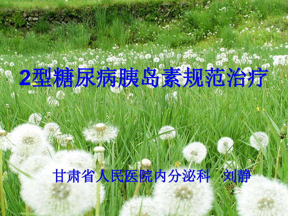 2型糖尿病胰岛素规范治疗-修改.ppt_第2页
