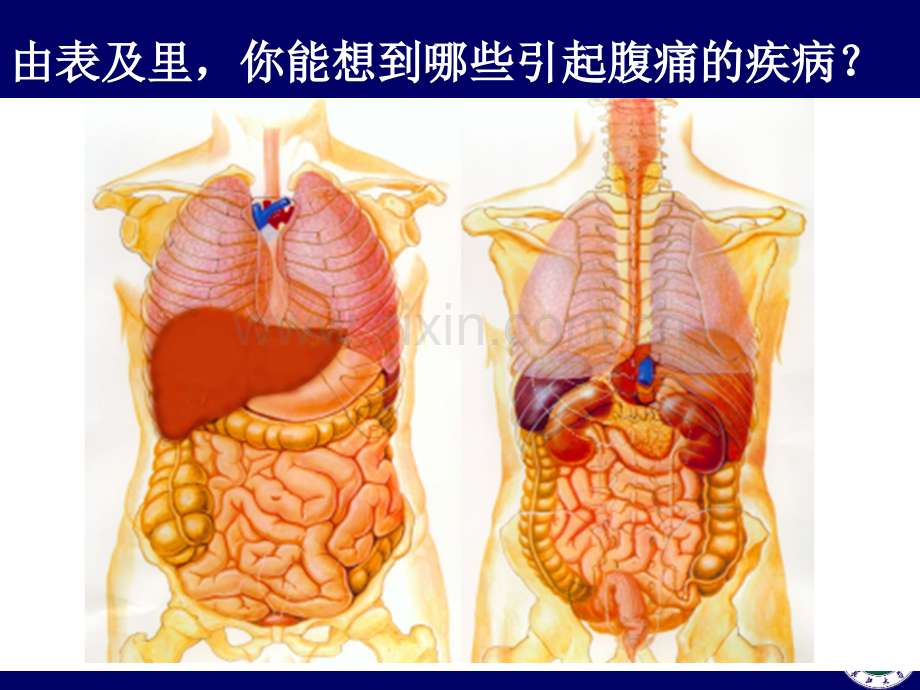 诊断学-腹痛.ppt_第2页