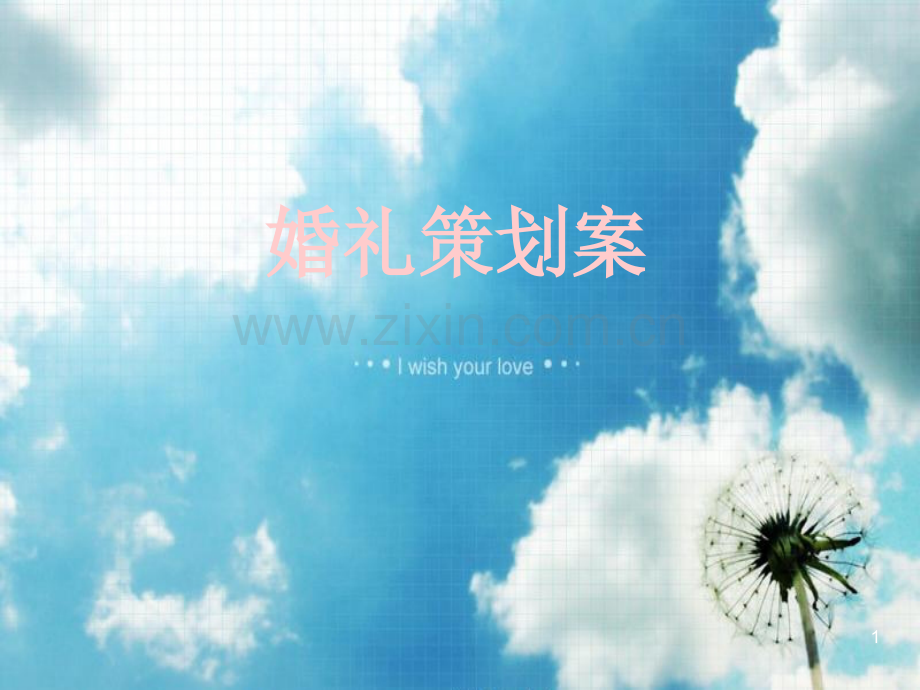 婚礼策划案.ppt_第1页