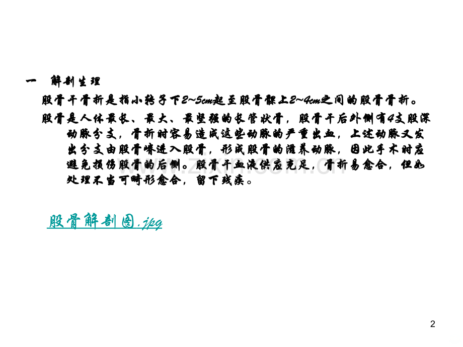 股骨干骨折病人教学.ppt_第2页
