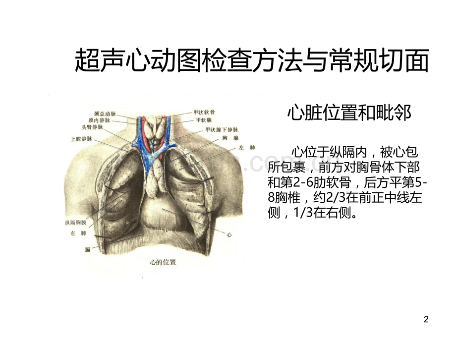 超声心动图检查方法与正常图像.ppt_第2页