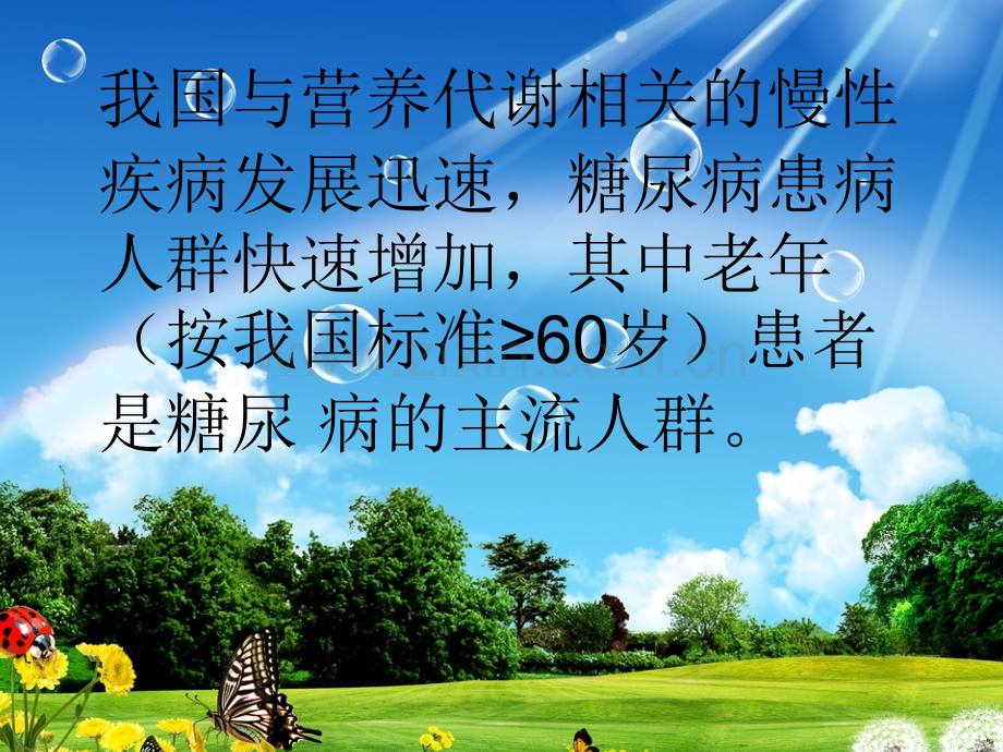 老年糖尿病诊疗措施专家共识.ppt_第2页
