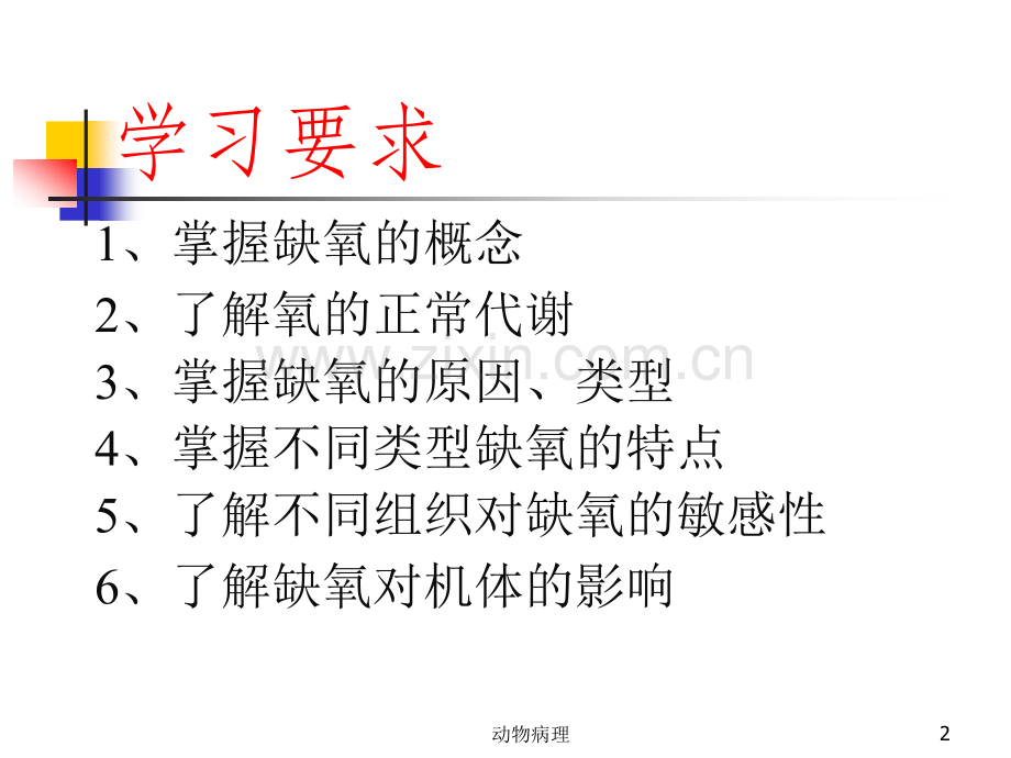 动物病理-缺氧.pptx_第2页