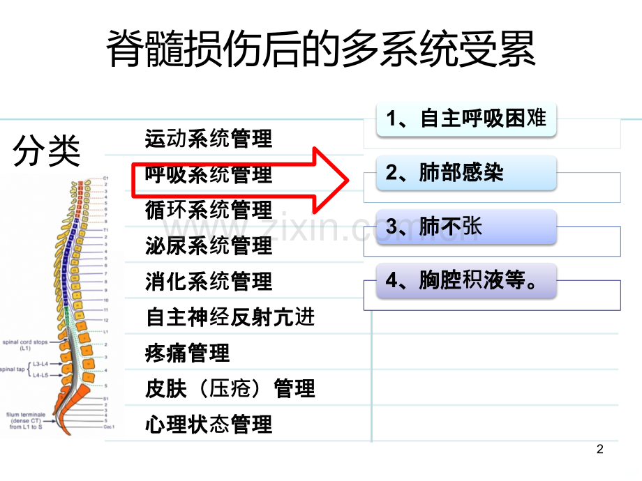 脊髓损伤后呼吸功能障碍.ppt_第2页