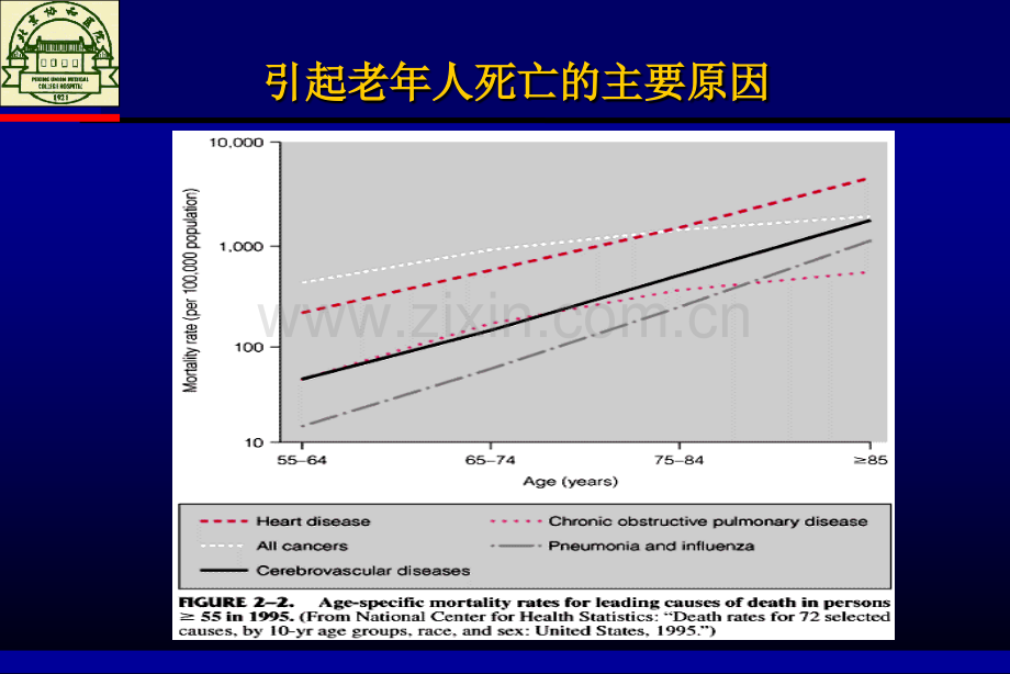 老年肺炎的经验性治疗.ppt_第2页