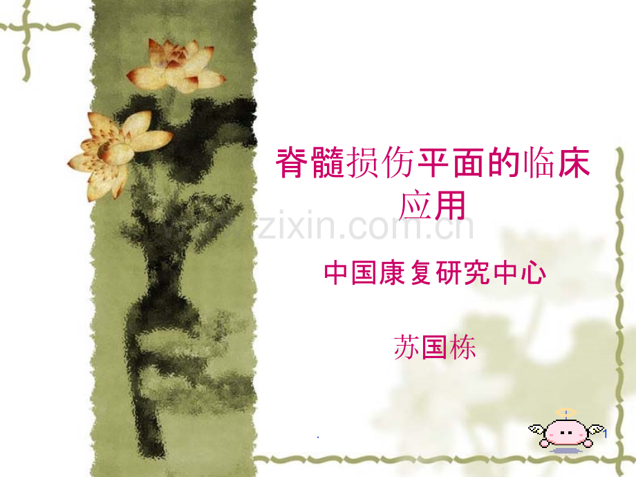 脊髓损伤平面的临.ppt_第1页