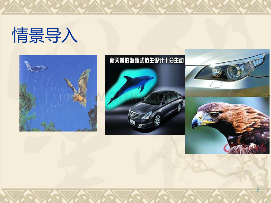 动物与仿生学【自制】.ppt_第2页