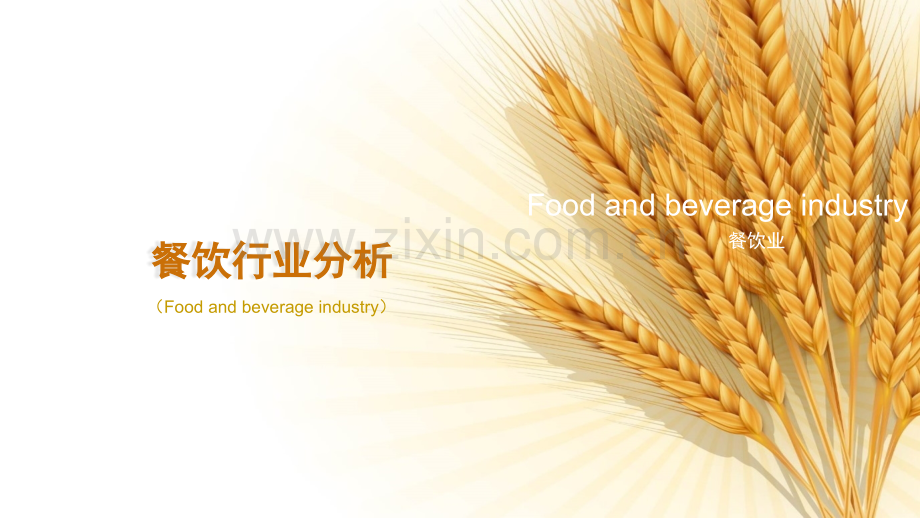 餐饮行业分析.ppt_第1页