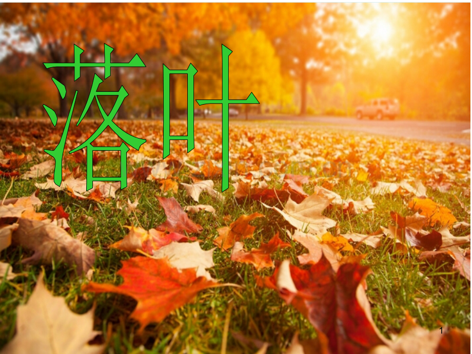 幼儿园小班儿歌落叶.ppt_第1页