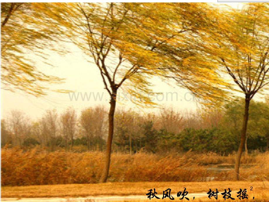 幼儿园小班儿歌落叶.ppt_第2页