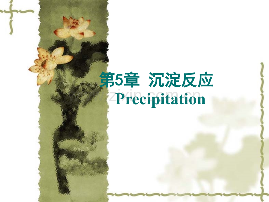 5章-沉淀反应(免疫学).ppt_第1页
