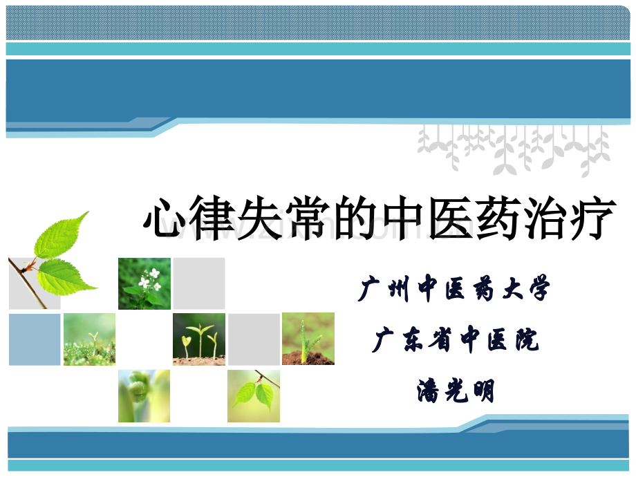 心律失常的中医药治疗演示课件.ppt_第1页