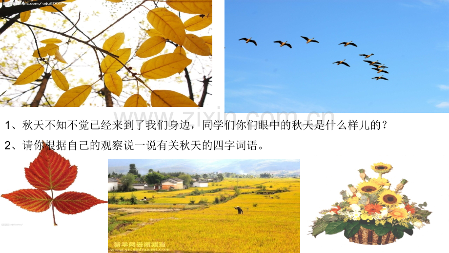 4《秋天》(2).ppt_第2页