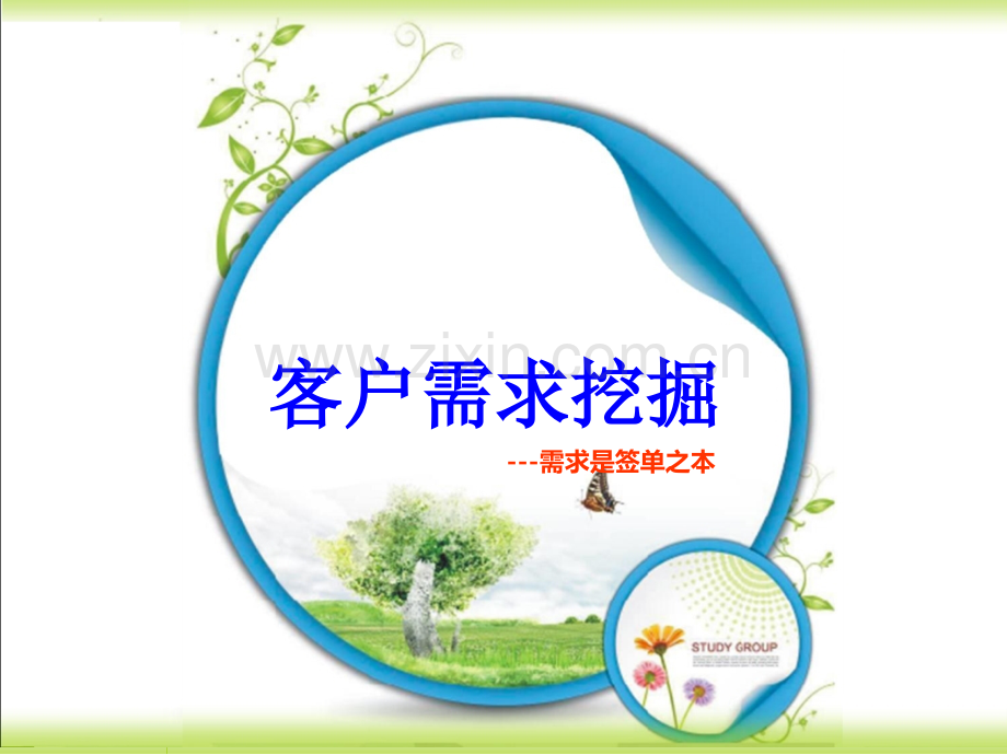 客户需求挖掘.ppt_第1页