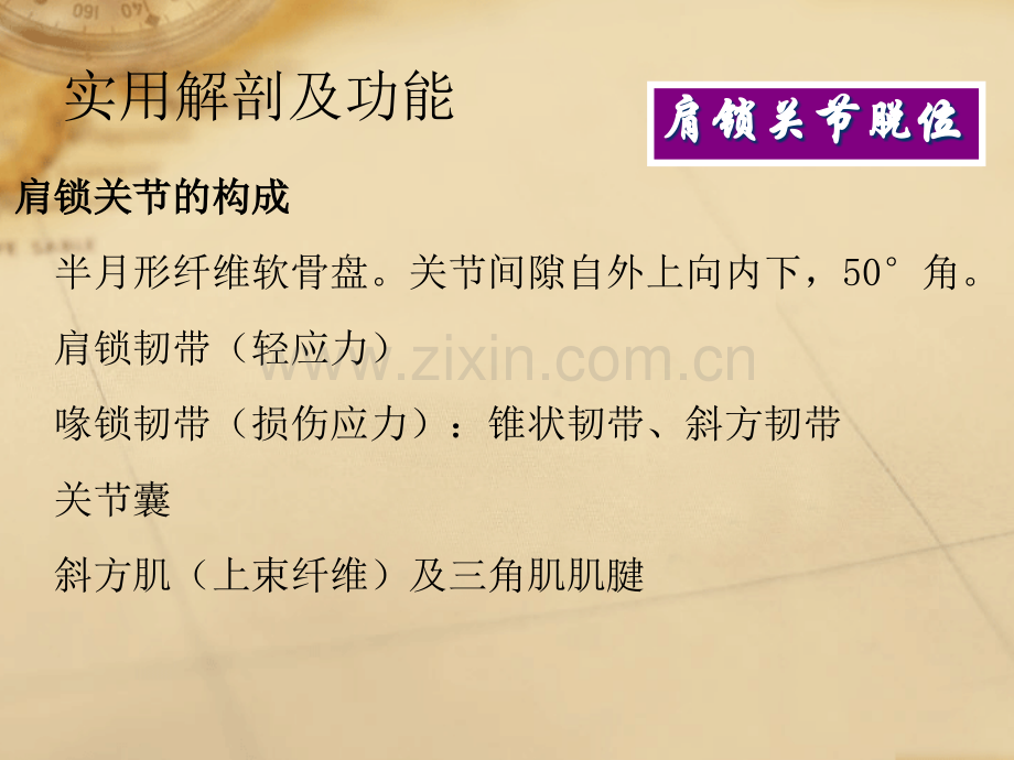 肩锁关节损伤.ppt_第2页