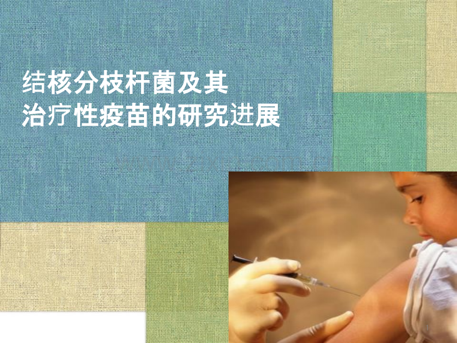 结核分枝杆菌.pptx_第1页