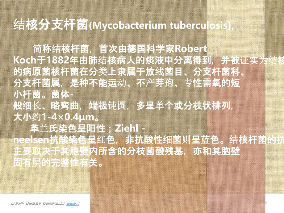 结核分枝杆菌.pptx_第2页