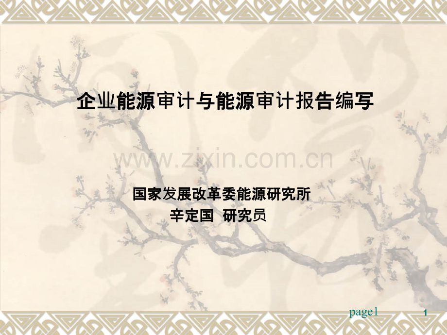 企业能源审计与能源审计报告编写【国家发改委能源研究所辛定国.ppt_第1页