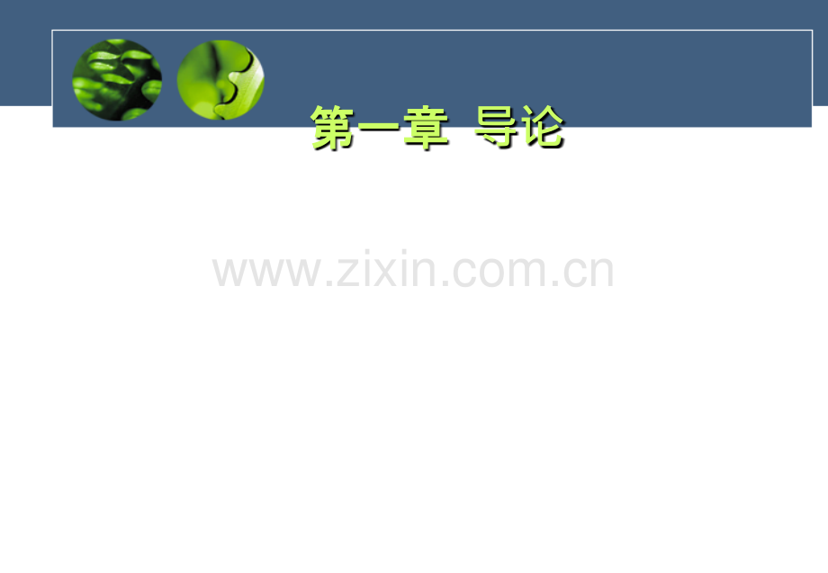 第一章人力资源开发与管理导论.ppt_第1页