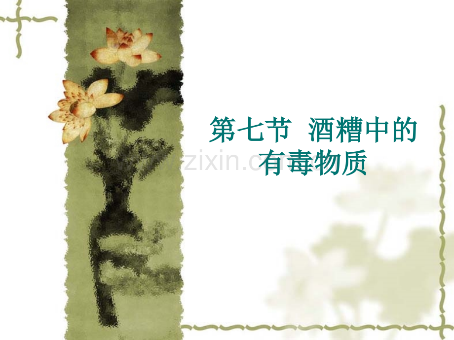 酒糟中的有毒物质.ppt_第1页