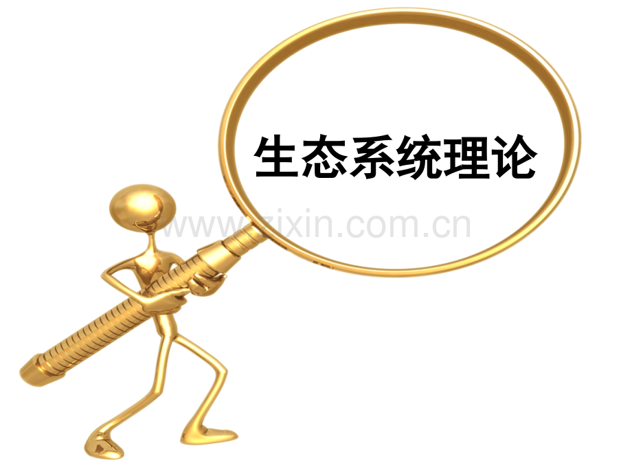 生态系统理论.ppt_第1页