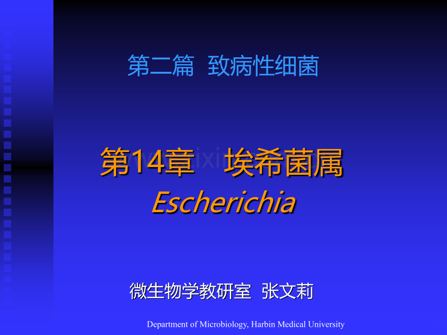 埃希菌属.ppt_第2页