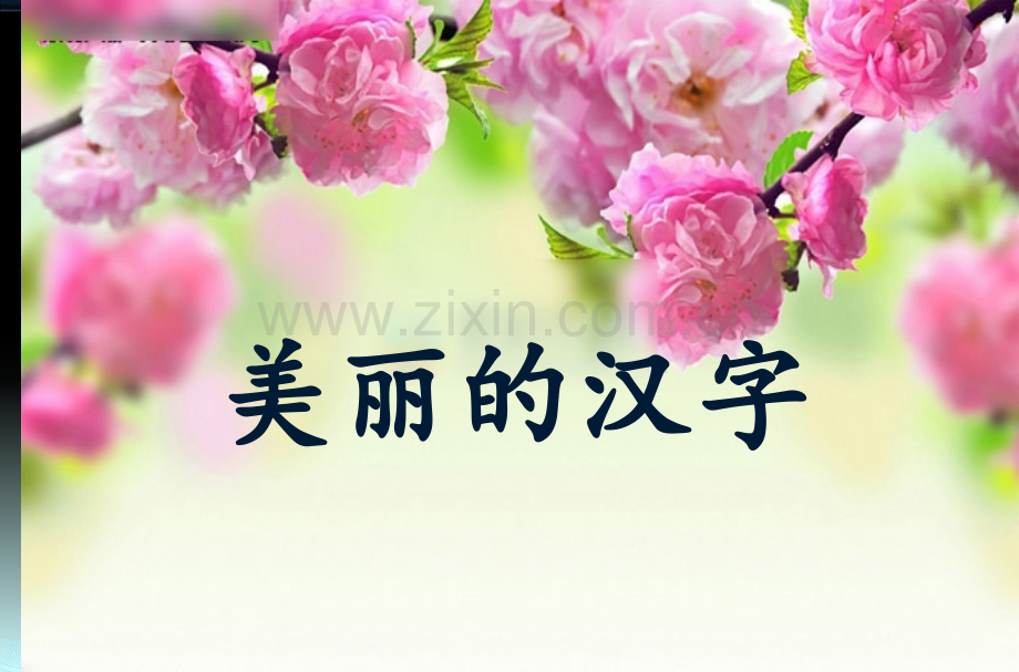 美丽的汉字留学生教学.pptx_第2页