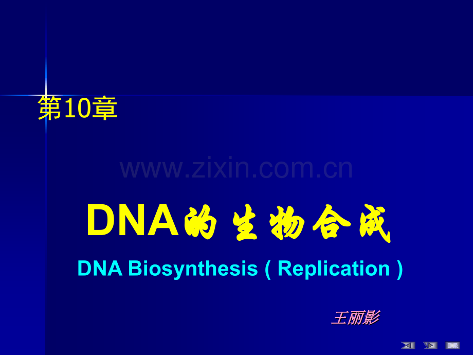 生物化学-第10章-DNA的生物合成-2012.ppt_第1页