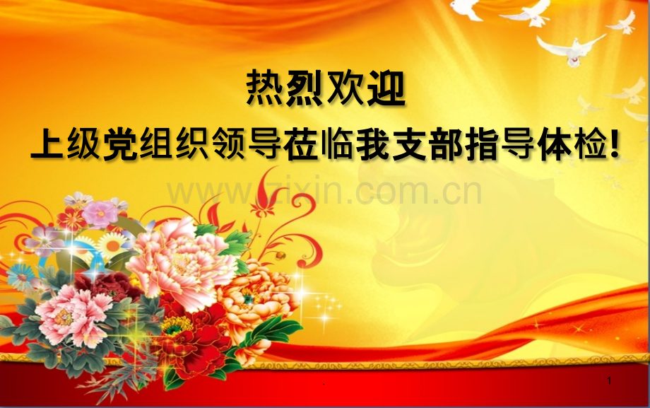 党支部汇报.ppt_第1页