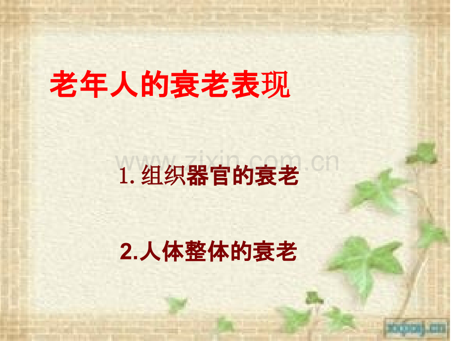 老年人的衰老表现.ppt_第1页
