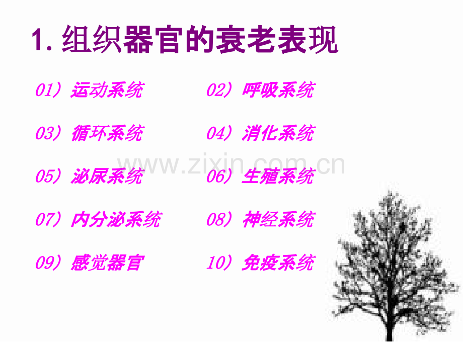 老年人的衰老表现.ppt_第2页